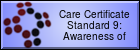 The Ninth Standard of The Care Certificate informs you about a range of different conditions involving the brain.