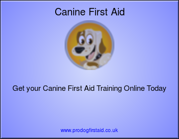 Learn essential First Aid for your Dog so you are ready to help them no matter what situation they get into.