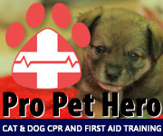 First Aid and CPR for Pets