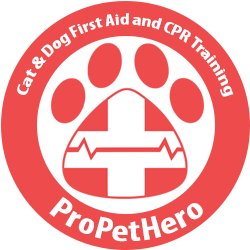 First Aid and CPR for Pets