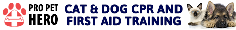 First Aid and CPR for Pets